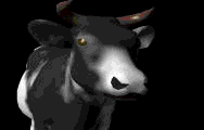 3d_cow.gif (7869 bytes)